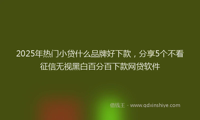 2025年热门小贷什么品牌好下款，分享5个不看征信无视黑白百分百下款网贷软件