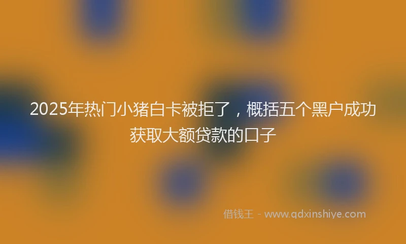 2025年热门小猪白卡被拒了，概括五个黑户成功获取大额贷款的口子