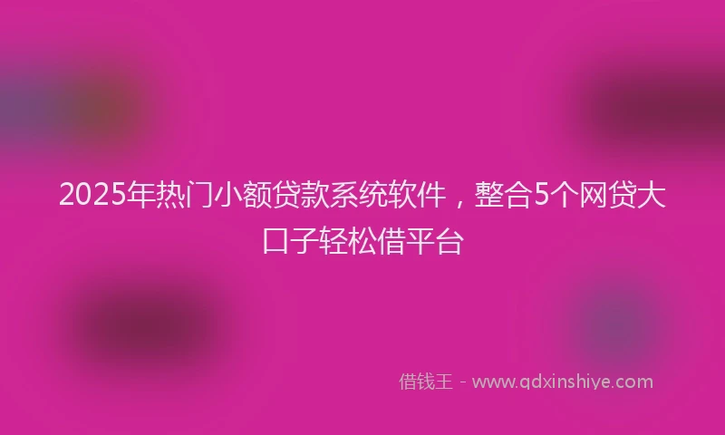 2025年热门小额贷款系统软件，整合5个网贷大口子轻松借平台
