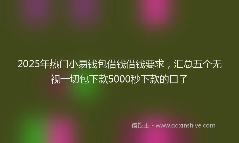 2025年热门小易钱包借钱借钱要求，汇总五个无视一切包下款5000秒下款的口子