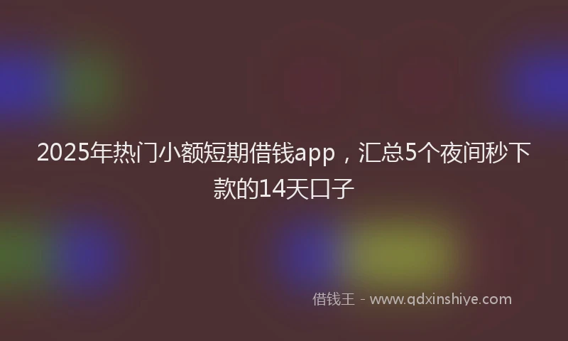 2025年热门小额短期借钱app，汇总5个夜间秒下款的14天口子