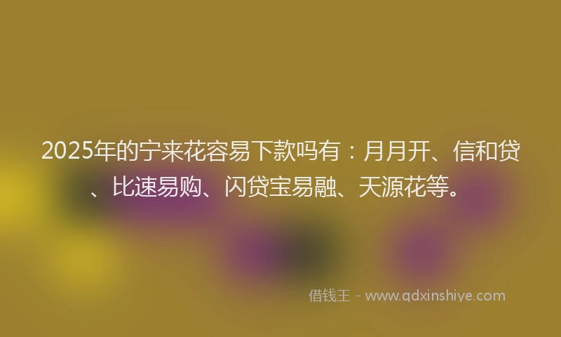 2025年的宁来花容易下款吗有：月月开、信和贷、比速易购、闪贷宝易融、天源花等。