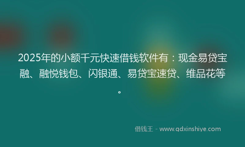 2025年的小额千元快速借钱软件有：现金易贷宝融、融悦钱包、闪银通、易贷宝速贷、维品花等。