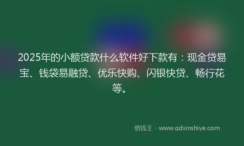 2025年的小额贷款什么软件好下款有：现金贷易宝、钱袋易融贷、优乐快购、闪银快贷、畅行花等。
