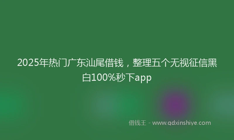 2025年热门广东汕尾借钱，整理五个无视征信黑白100%秒下app