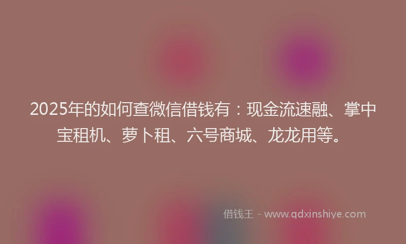 2025年的如何查微信借钱有：现金流速融、掌中宝租机、萝卜租、六号商城、龙龙用等。
