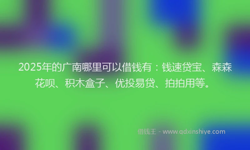 2025年的广南哪里可以借钱有：钱速贷宝、森森花呗、积木盒子、优投易贷、拍拍用等。