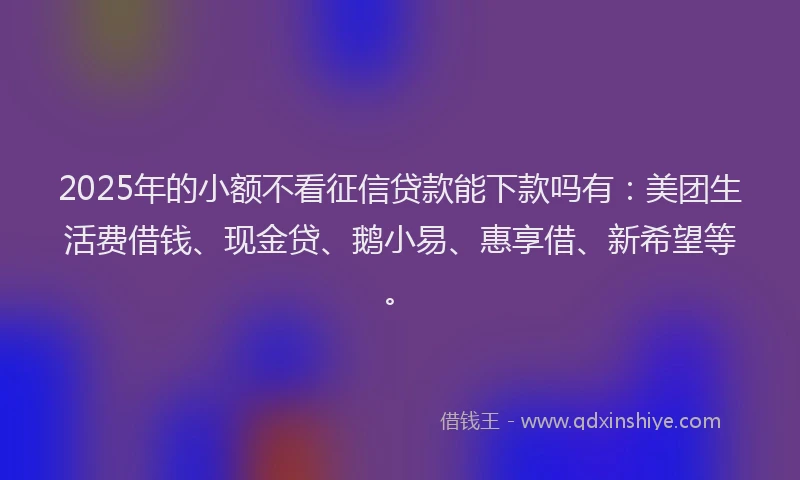 2025年的小额不看征信贷款能下款吗有：美团生活费借钱、现金贷、鹅小易、惠享借、新希望等。