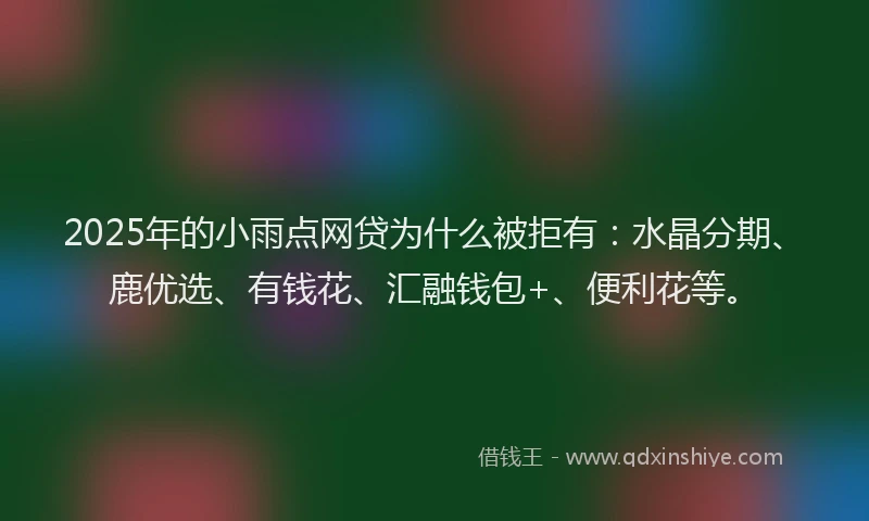 2025年的小雨点网贷为什么被拒有：水晶分期、鹿优选、有钱花、汇融钱包+、便利花等。
