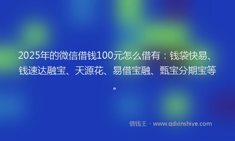 2025年的微信借钱100元怎么借有：钱袋快易、钱速达融宝、天源花、易借宝融、甄宝分期宝等。