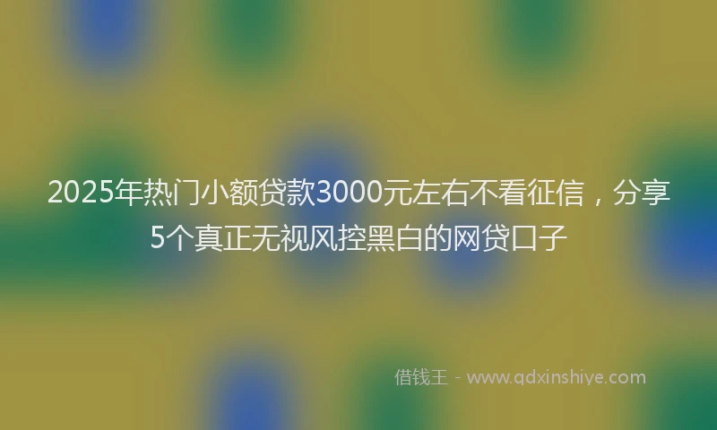 2025年热门小额贷款3000元左右不看征信，分享5个真正无视风控黑白的网贷口子