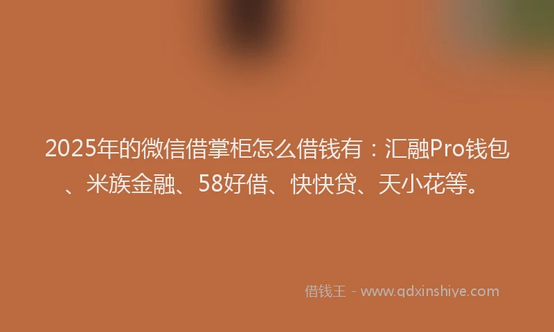 2025年的微信借掌柜怎么借钱有：汇融Pro钱包、米族金融、58好借、快快贷、天小花等。