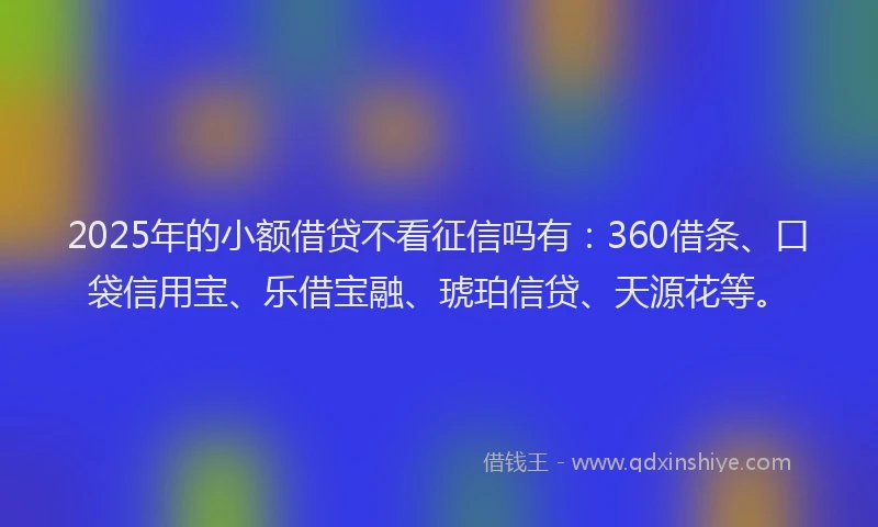 2025年的小额借贷不看征信吗有：360借条、口袋信用宝、乐借宝融、琥珀信贷、天源花等。