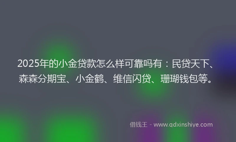 2025年的小金贷款怎么样可靠吗有：民贷天下、森森分期宝、小金鹤、维信闪贷、珊瑚钱包等。