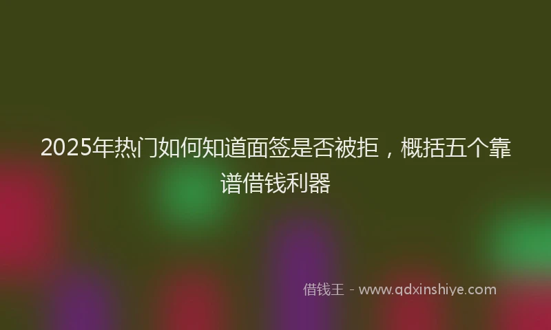 2025年热门如何知道面签是否被拒，概括五个靠谱借钱利器