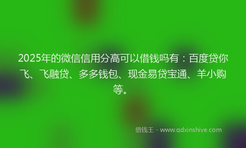 2025年的微信信用分高可以借钱吗有：百度贷你飞、飞融贷、多多钱包、现金易贷宝通、羊小购等。