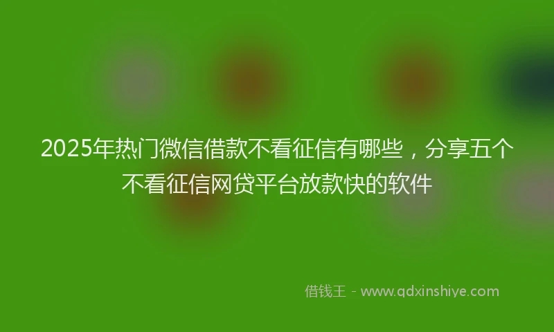 2025年热门微信借款不看征信有哪些，分享五个不看征信网贷平台放款快的软件