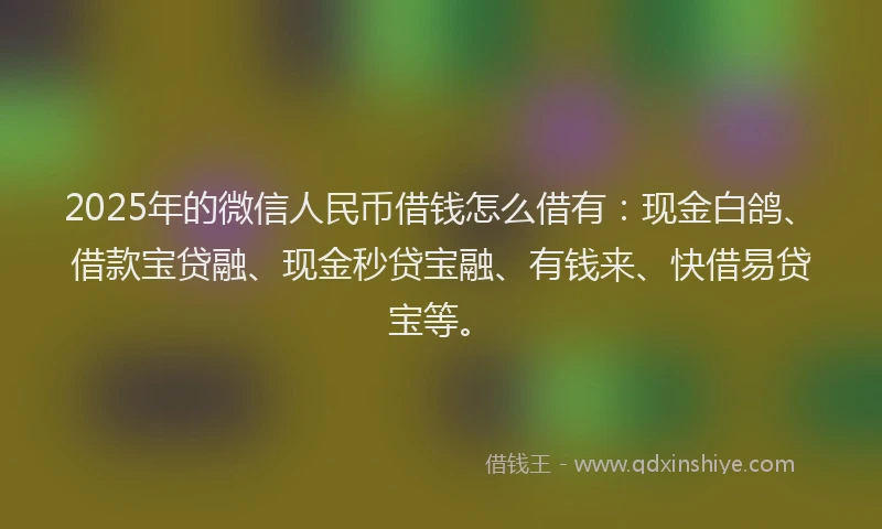 2025年的微信人民币借钱怎么借有：现金白鸽、借款宝贷融、现金秒贷宝融、有钱来、快借易贷宝等。