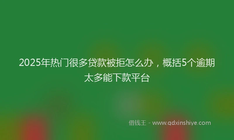 2025年热门很多贷款被拒怎么办，概括5个逾期太多能下款平台