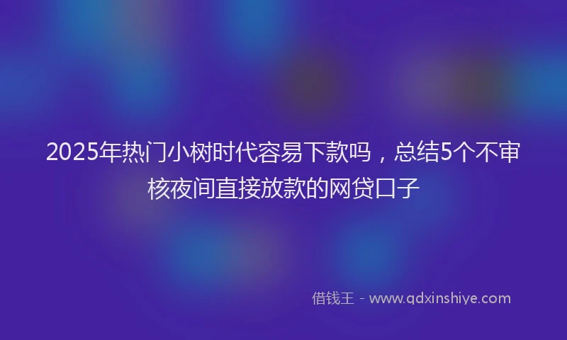 2025年热门小树时代容易下款吗，总结5个不审核夜间直接放款的网贷口子