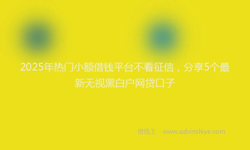 2025年热门小额借钱平台不看征信，分享5个最新无视黑白户网贷口子