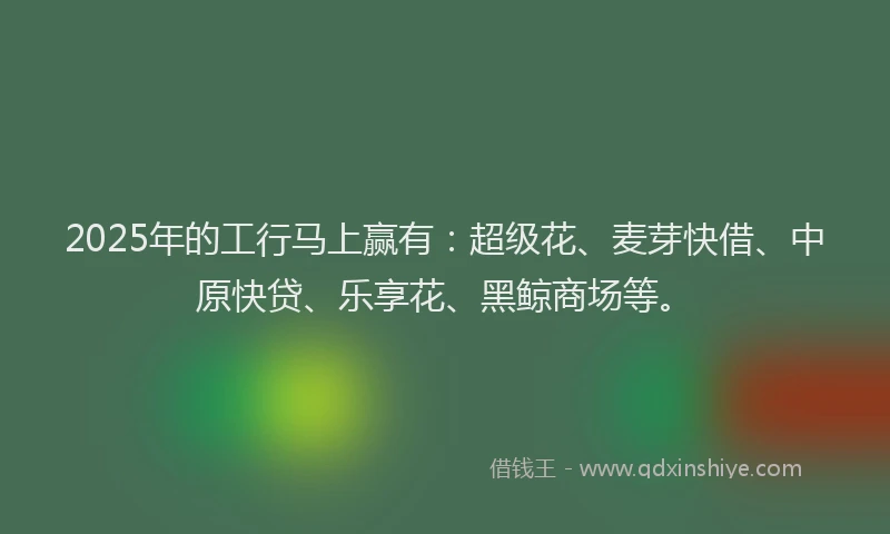 2025年的工行马上赢有：超级花、麦芽快借、中原快贷、乐享花、黑鲸商场等。