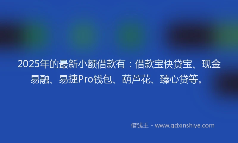 2025年的最新小额借款有：借款宝快贷宝、现金易融、易捷Pro钱包、葫芦花、臻心贷等。