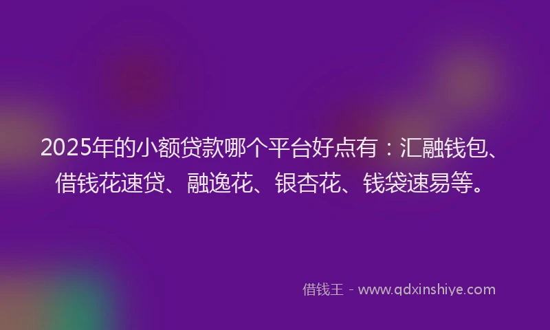2025年的小额贷款哪个平台好点有：汇融钱包、借钱花速贷、融逸花、银杏花、钱袋速易等。