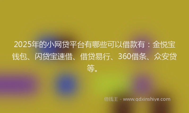2025年的小网贷平台有哪些可以借款有：金悦宝钱包、闪贷宝速借、借贷易行、360借条、众安贷等。