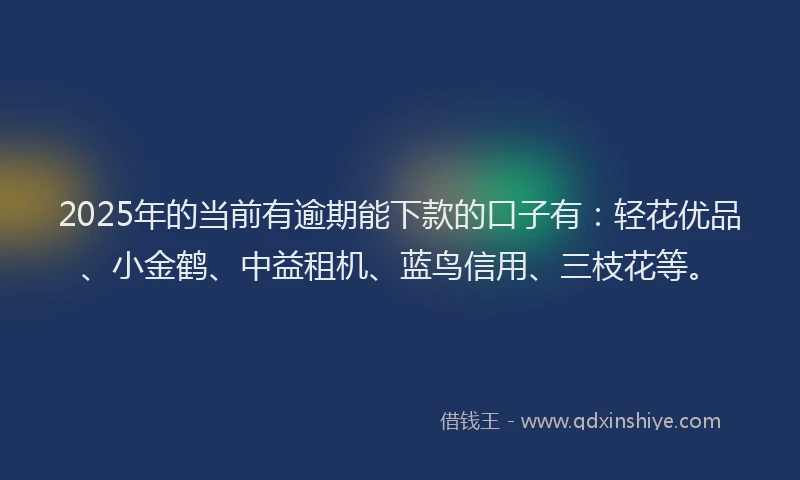 2025年的当前有逾期能下款的口子有：轻花优品、小金鹤、中益租机、蓝鸟信用、三枝花等。