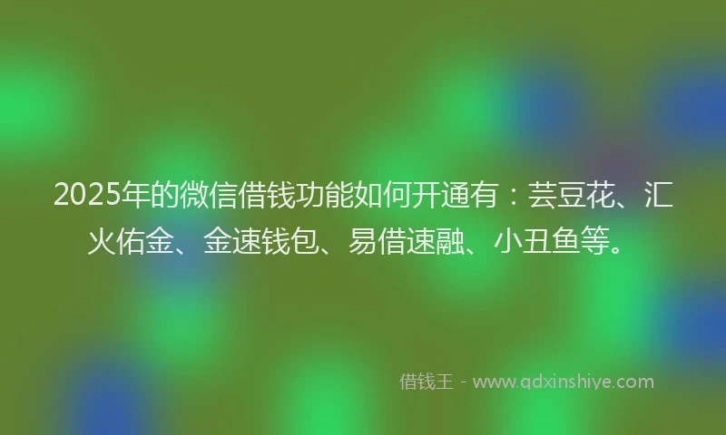 2025年的微信借钱功能如何开通有：芸豆花、汇火佑金、金速钱包、易借速融、小丑鱼等。