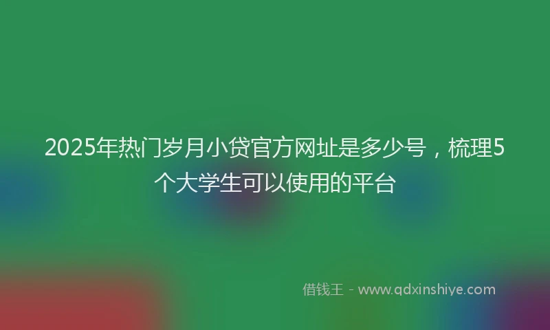 2025年热门岁月小贷官方网址是多少号，梳理5个大学生可以使用的平台