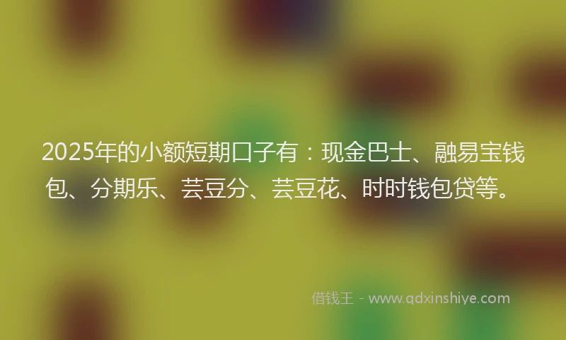 2025年的小额短期口子有：现金巴士、融易宝钱包、分期乐、芸豆分、芸豆花、时时钱包贷等。