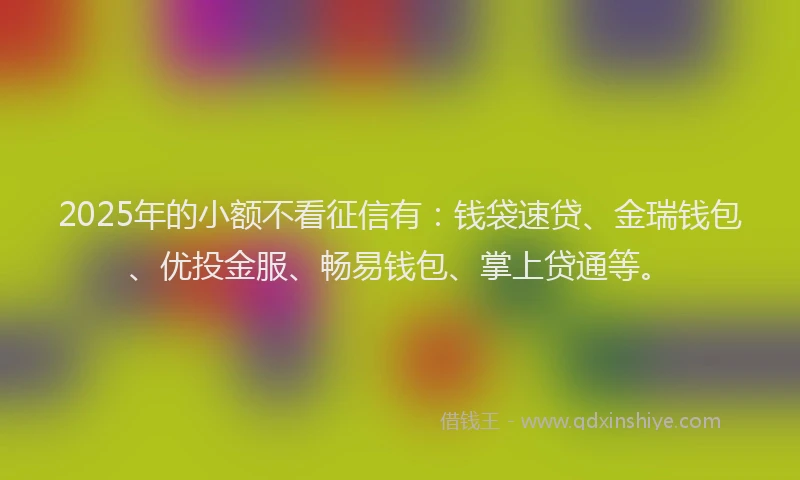 2025年的小额不看征信有：钱袋速贷、金瑞钱包、优投金服、畅易钱包、掌上贷通等。