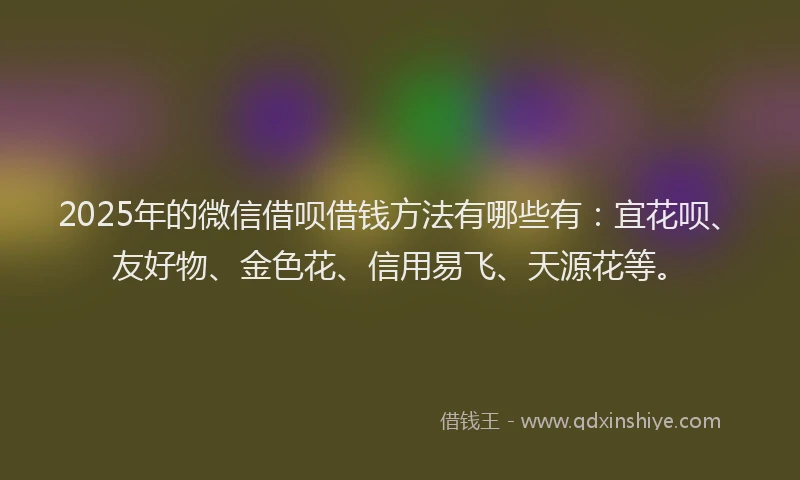 2025年的微信借呗借钱方法有哪些有：宜花呗、友好物、金色花、信用易飞、天源花等。