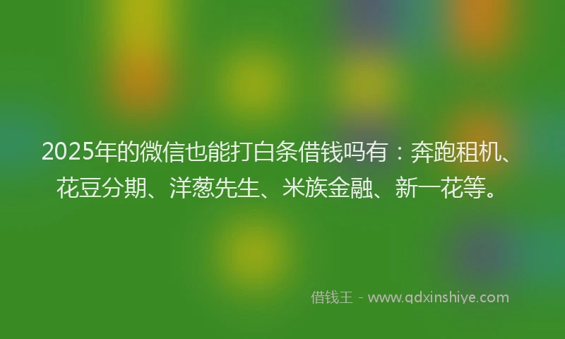 2025年的微信也能打白条借钱吗有：奔跑租机、花豆分期、洋葱先生、米族金融、新一花等。