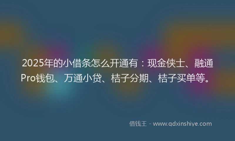 2025年的小借条怎么开通有：现金侠士、融通Pro钱包、万通小贷、桔子分期、桔子买单等。