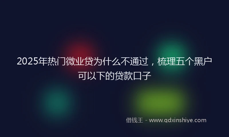 2025年热门微业贷为什么不通过，梳理五个黑户可以下的贷款口子