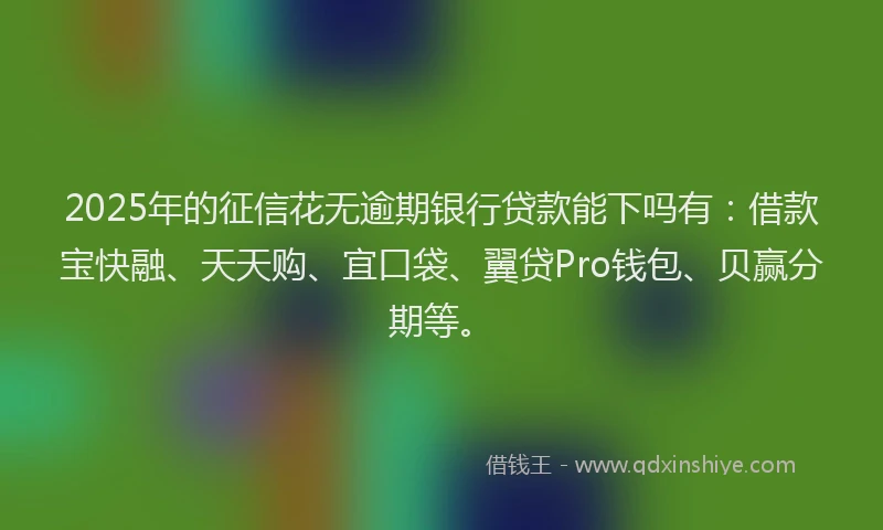 2025年的征信花无逾期银行贷款能下吗有：借款宝快融、天天购、宜口袋、翼贷Pro钱包、贝赢分期等。