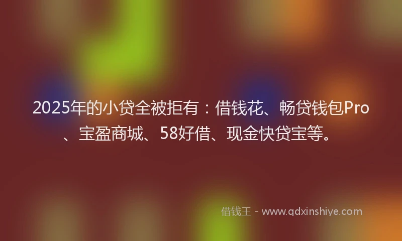 2025年的小贷全被拒有：借钱花、畅贷钱包Pro、宝盈商城、58好借、现金快贷宝等。