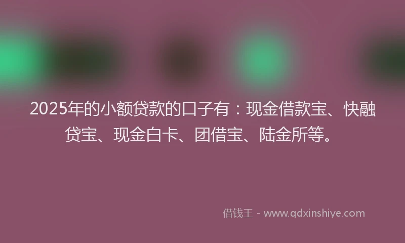 2025年的小额贷款的口子有：现金借款宝、快融贷宝、现金白卡、团借宝、陆金所等。