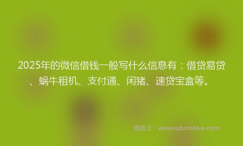 2025年的微信借钱一般写什么信息有：借贷易贷、蜗牛租机、支付通、闲猪、速贷宝盒等。