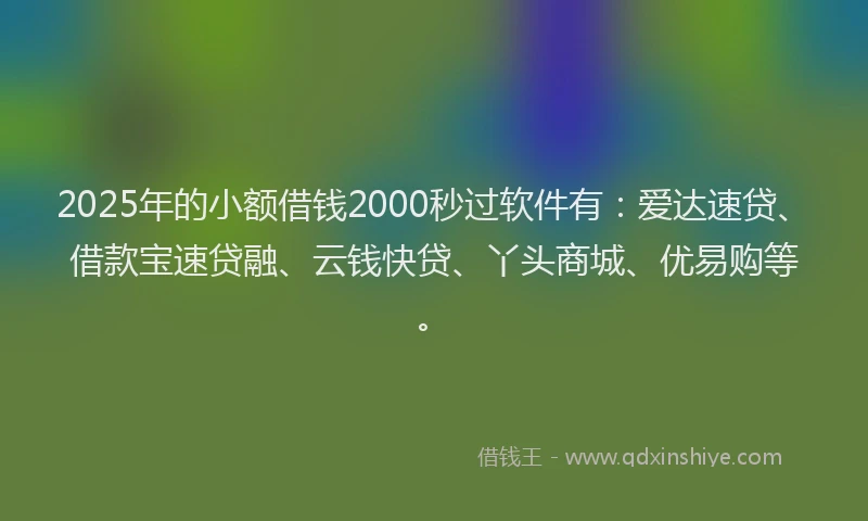 2025年的小额借钱2000秒过软件有：爱达速贷、借款宝速贷融、云钱快贷、丫头商城、优易购等。