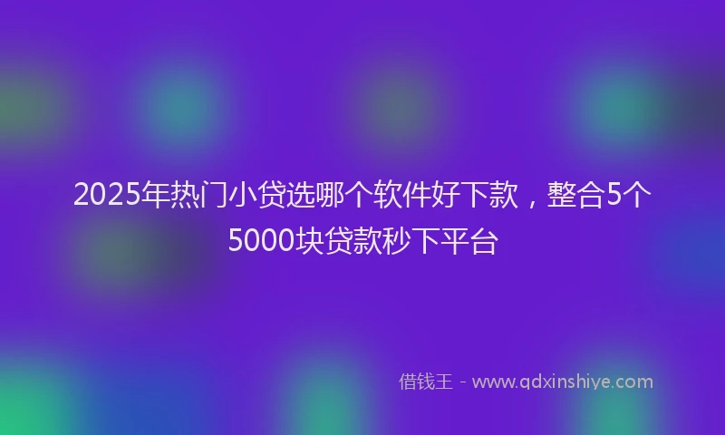 2025年热门小贷选哪个软件好下款，整合5个5000块贷款秒下平台