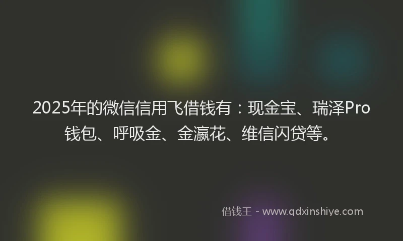 2025年的微信信用飞借钱有：现金宝、瑞泽Pro钱包、呼吸金、金瀛花、维信闪贷等。