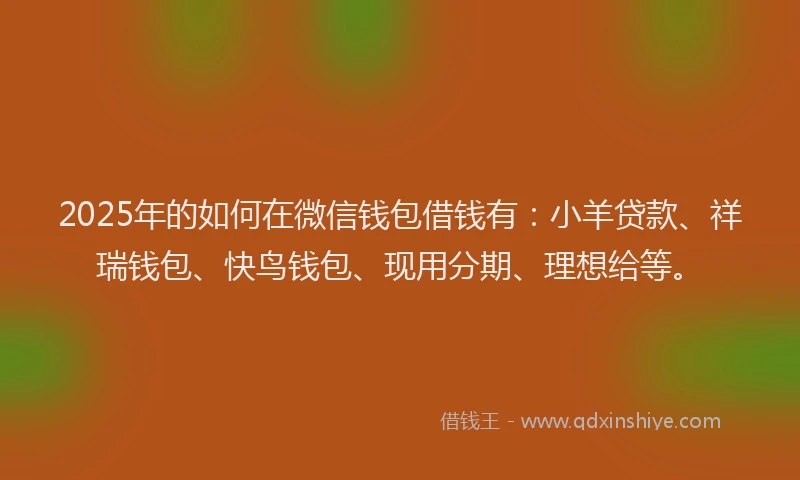 2025年的如何在微信钱包借钱有：小羊贷款、祥瑞钱包、快鸟钱包、现用分期、理想给等。