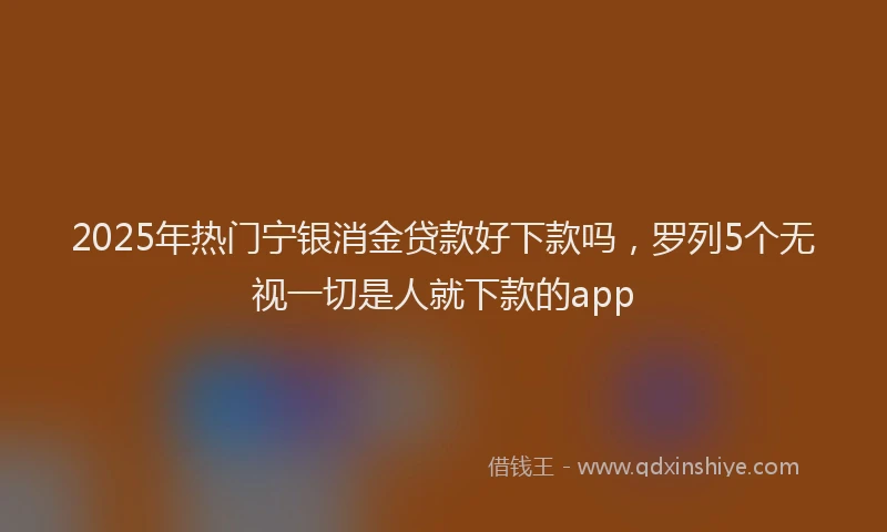 2025年热门宁银消金贷款好下款吗，罗列5个无视一切是人就下款的app