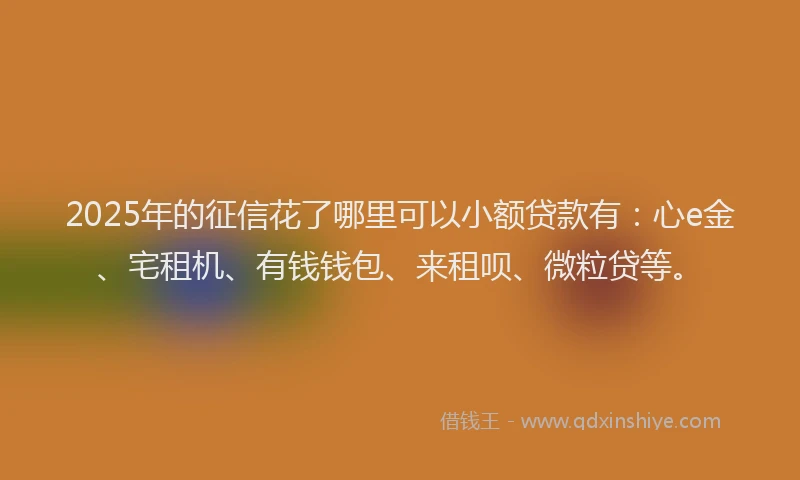 2025年的征信花了哪里可以小额贷款有：心e金、宅租机、有钱钱包、来租呗、微粒贷等。