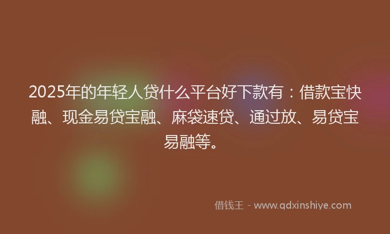 2025年的年轻人贷什么平台好下款有：借款宝快融、现金易贷宝融、麻袋速贷、通过放、易贷宝易融等。