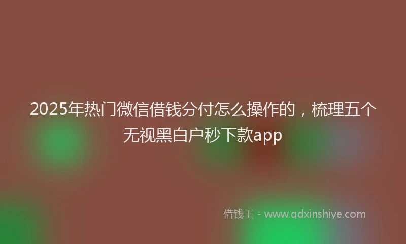 2025年热门微信借钱分付怎么操作的，梳理五个无视黑白户秒下款app